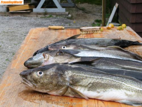 Norwegen: Bild 097 / 