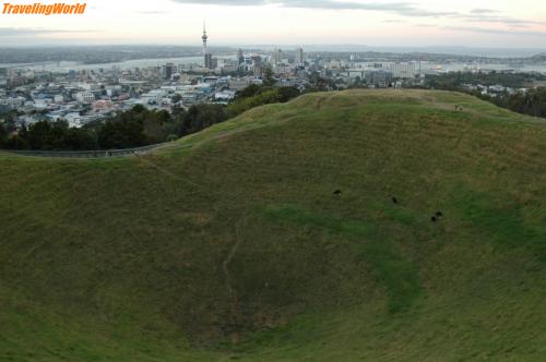 Neuseeland: 07-02-18 Auckland 020 / Auckland