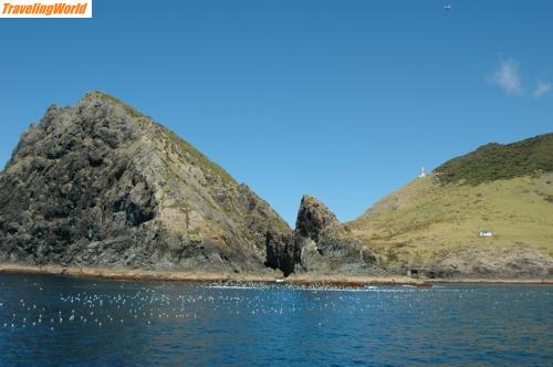 Neuseeland: 07-02-19 Bay of Island 016 / Bay of Island