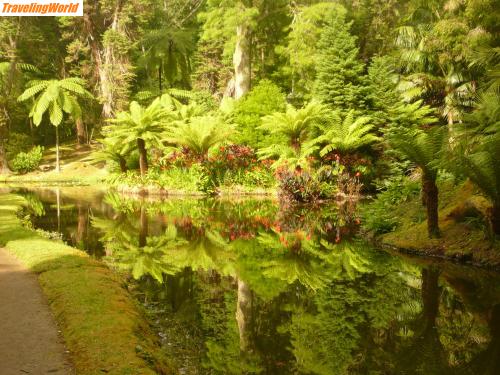 Portugal: Azoren 186-1 / Furnas Park