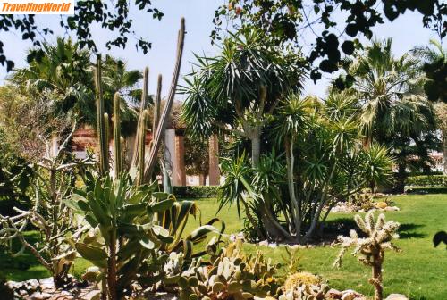 gypten: File0019 / Gartenanlage