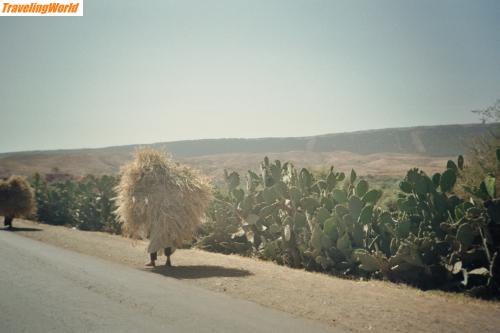 Marokko: imm000_XA / 