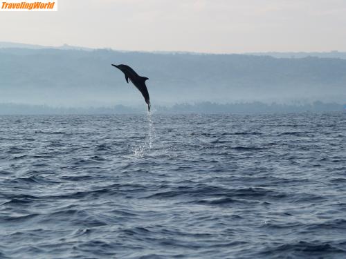 Indonesien: PB092987 / Dolphins watching in Lovina (Bali)