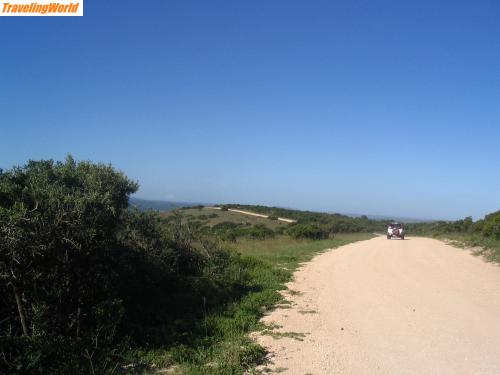 Sdafrika: IMG_0987 / 