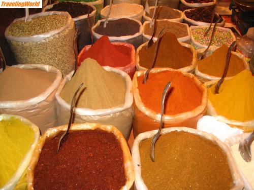 Indien: IMG_2798 / 