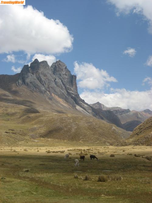 Peru: Südamerika08 954 / 