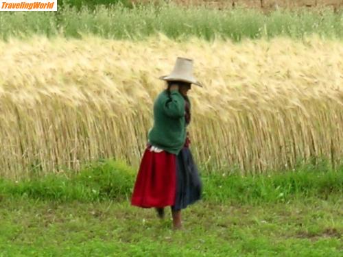 Peru: 260_Campesina_1 / Cajamarca - Campesina