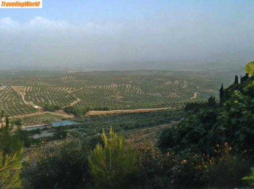 Spanien: img328 / Ubeda