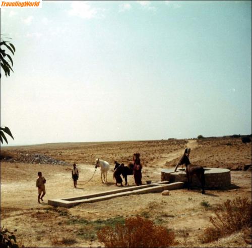 Algerien: 007 / 