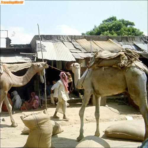 Pakistan: 004a / 