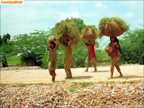 Indien: 004b / 