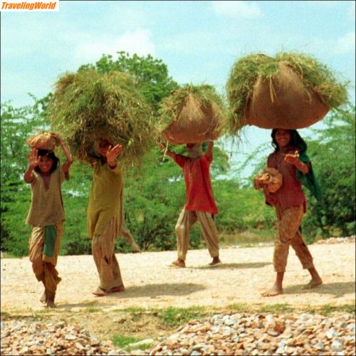 Indien: 004c / 