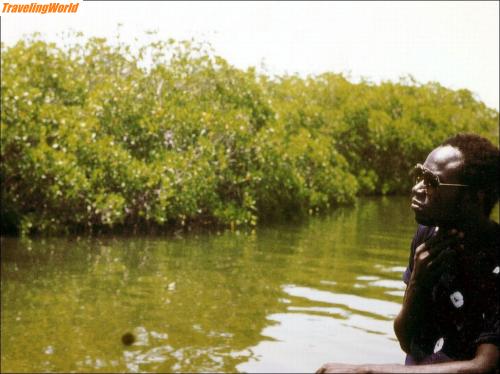 Senegal: 15 Auf einem Mangrovenfluss / 
