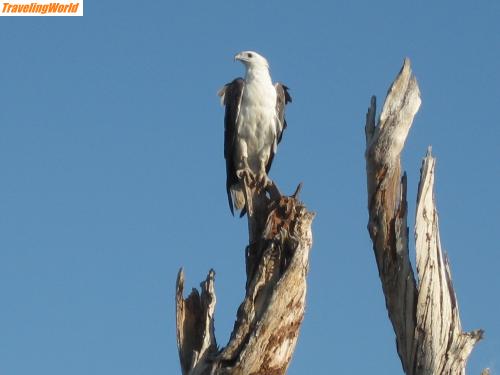 Australien: Bild 265 / 