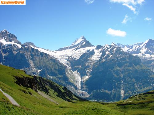 Schweiz: DSC01578 / Unterwegs zum Bachalpsee