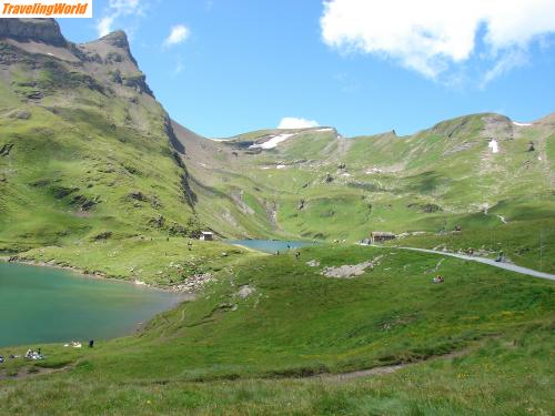 Schweiz: DSC01597 / Bachalpsee