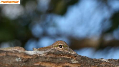 Madagaskar: IMG_5369_v1_600 / 