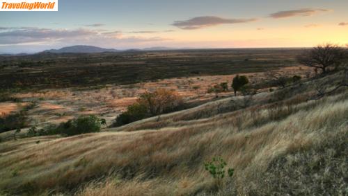 Madagaskar: IMG_6643_1_2_600 / 