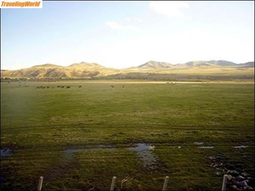 Mongolei: 02d6 In der Mongolei / 