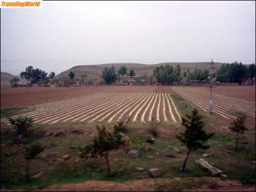 Mongolei: 02b3 In der Mongolei / 