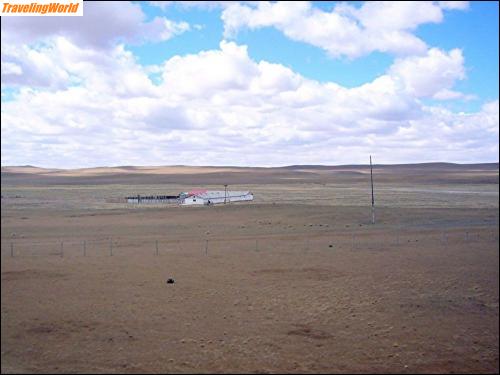 Mongolei: 02a5 In der Mongolei / 