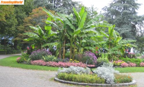 Deutschland: 005 Park Lindau / Park mit südländischen Pflanzen in Lindau