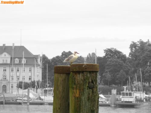 Deutschland: 003 Hafen Lindau / Lindau