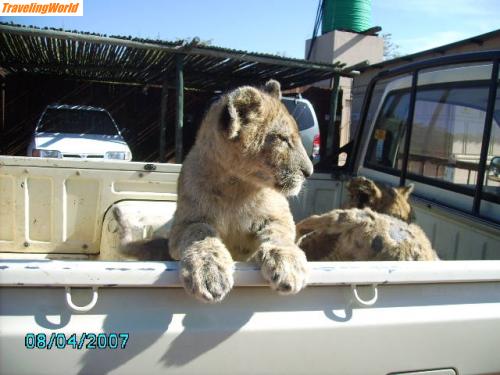Sdafrika: PICT0763 / 