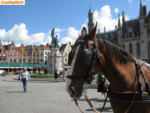 Belgien: 05r5. In Brügge / Auf dem Hauptplatz in Brügge
