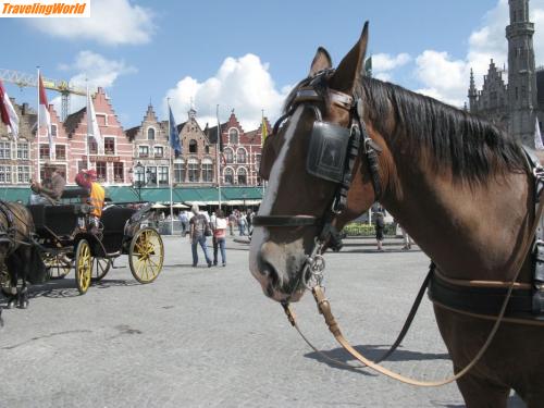 Belgien: 05r3. In Brügge / Auf dem Hauptplatz in Brügge