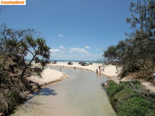 Australien: CIMG1192 (800x600) / Fraser Island Eli Creek 12.11.2009