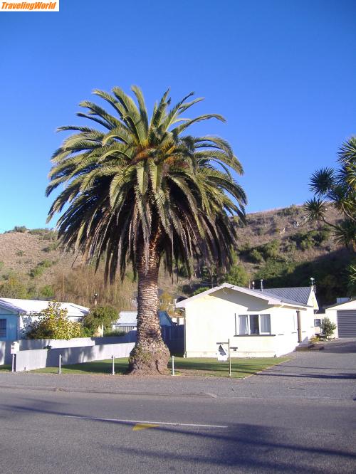 Neuseeland: NZ Volume 3 1164 / 