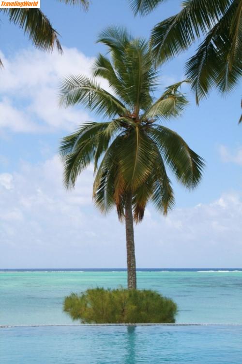 Australien: Aitutaki 18.11.2009 (2) / Aitutaki 18.11.2009