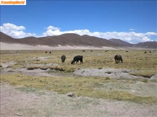 Bolivien: 7. Potosi (13)_resized / 