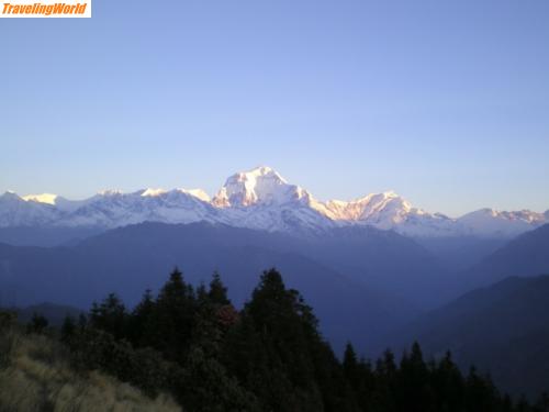 Nepal: IMGP0065 (FILEminimizer) / Dhaulagiri (8167m) vom Poon Hill (3193m)