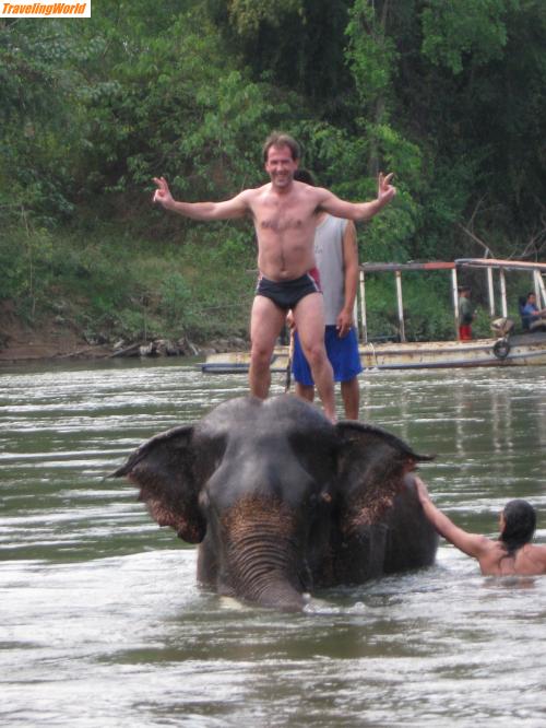 Thailand: Thailand 2010 049_2 / Elefanten-Baden - Ich fühlte mich schon als Sieger