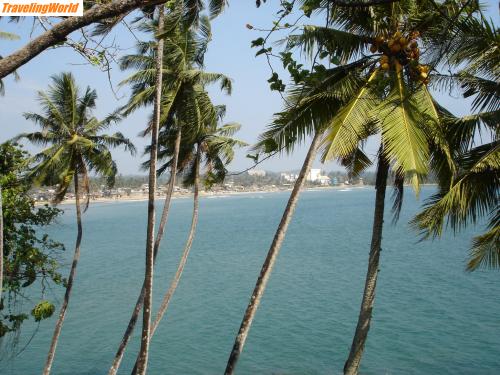 Sri Lanka: DSC06527 / 
