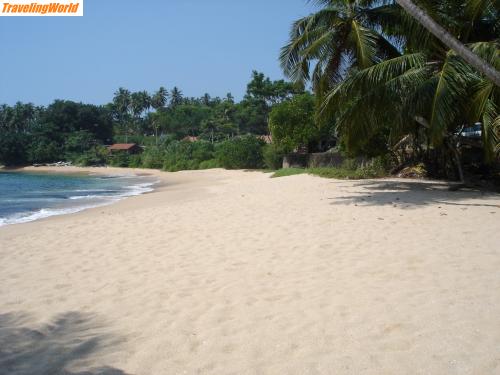 Sri Lanka: DSC06483 / 