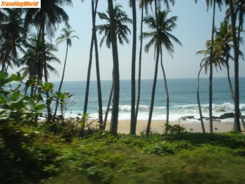 Sri Lanka: DSC06474 / 