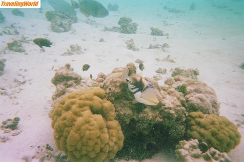 Malediven: 021_18A / 