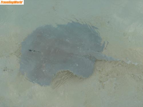 Malediven: DSC06846 / 