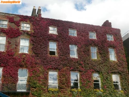 Irland: CIMG0719 / 