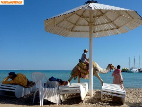 gypten: 001eh / Am Strand von Hurghada
