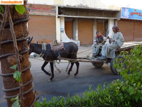 �gypten: 005i / In der Altstadt von Luxor