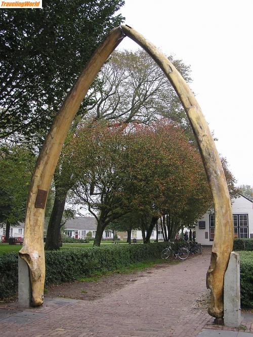 Niederlande: Caro 113 / 