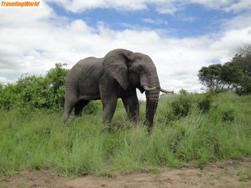 Sdafrika: DSC06152 / 