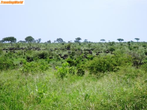 Sdafrika: DSC06555 / 
