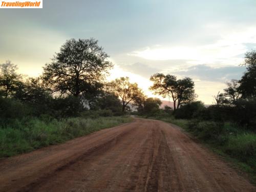 Sdafrika: DSC06448 / 