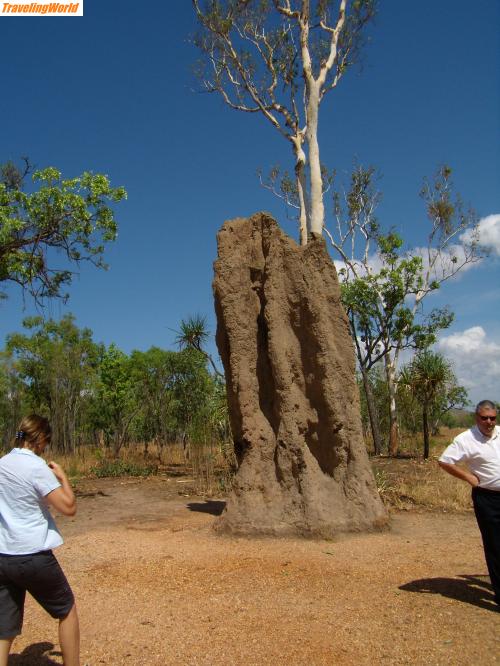 Australien: P9280205 / Termitenh&uuml;gel ca.2,5m- 3m hoch