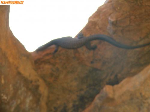 Australien: PA020324 / ein Sandwaran